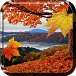 Logo of Falling Leaves Live Wallpaper android Application 