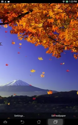 Falling Leaves Live Wallpaper android App screenshot 5